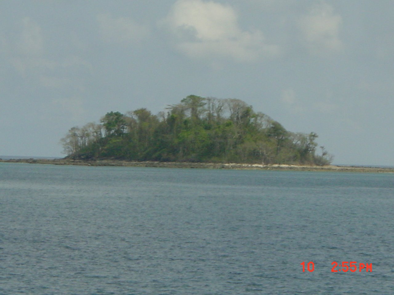 [DSC04226.JPG]]